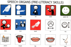 Speech Organs themeboard